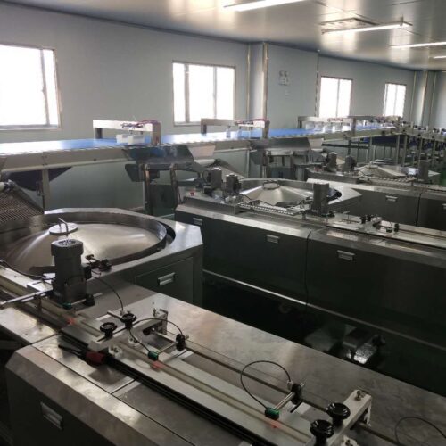 automatic pillow packaging machine