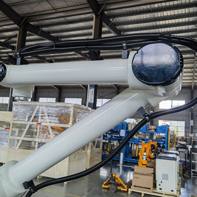Good price Palletizing Robot