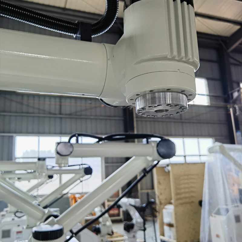 Good price Palletizing Robot